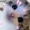 ._rblxkim