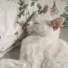 yjl_ht