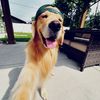 mclovin_38722