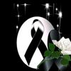 vvale_rll234