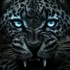user451306019070