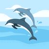 azyz.mohamed