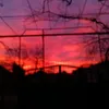 ___12277294paak