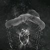 user8062101350950