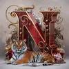 nadeemx12
