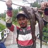 teguh.widodo085