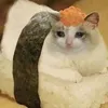 imcuriousyeeah