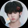 tf__stan__domi