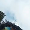 su_ndar1