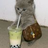 afor_asya.5