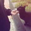 kitty_.loll