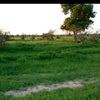 user106129400949