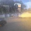 maciej_poopy_unicorn