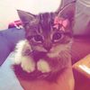 emily_naresha3321