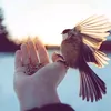 mohammedamjad6899