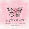 uroojfatima5158