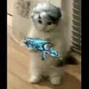 hi.muzik.qh02