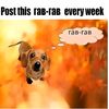 post.this.everevik