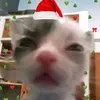 zorinhosoninho