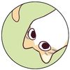 fatma_diab_6