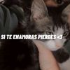 gjugvjhv5