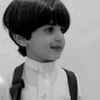 li_on_511