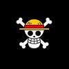 PP ONE PIECE