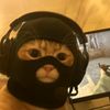 jerry_zeno5567