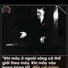 adolf.hit.lerquoctruong