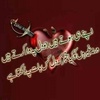 arshad.arshad9927