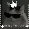 mgzin.edits07
