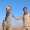 user9081181523936