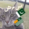 mo1sh4m