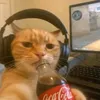 catmakesaifood