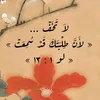 user6740781485593