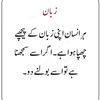 haniya.ali910