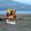 alimahmoad962