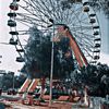 safare_2