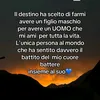 vanessagatto8