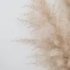 chemslifestylee