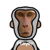 jaydyn.tran