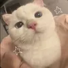 kvrzziii