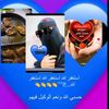 fitrey.lugu