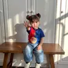 morpho_309