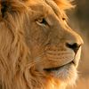elkhal.hatem