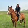 daniar_017_1