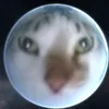 martin_cheese