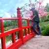tuantute79nt
