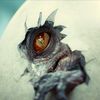 INDOMINUSREX333
