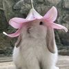 buny997